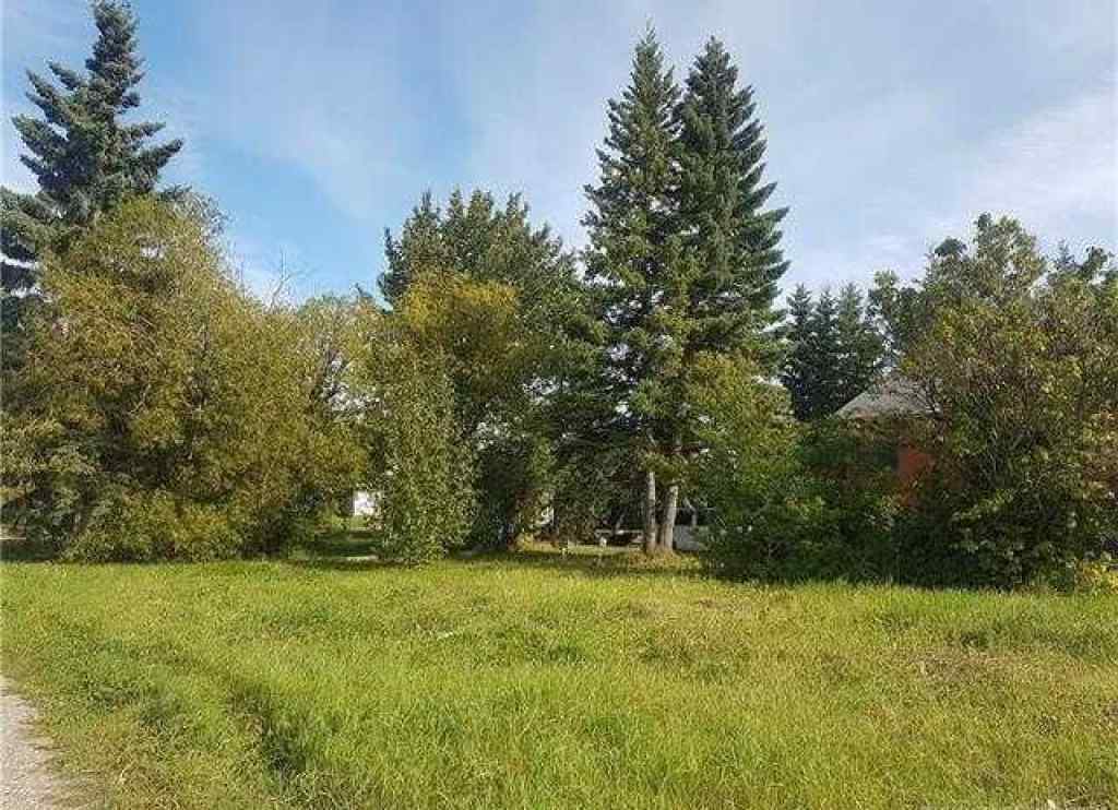 MLS® A2241586 - 4907 50 St.   in NONE Caroline, Land