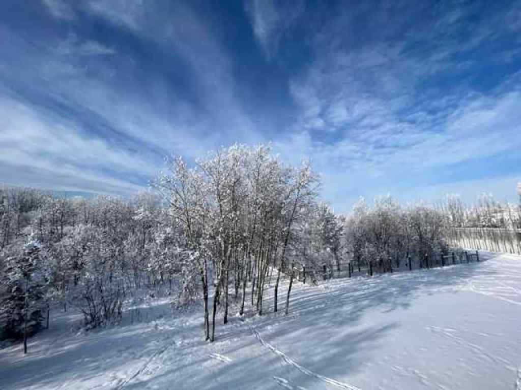MLS® A2241615 - 17 Oak Avenue  in NONE Rural Foothills County, Residential