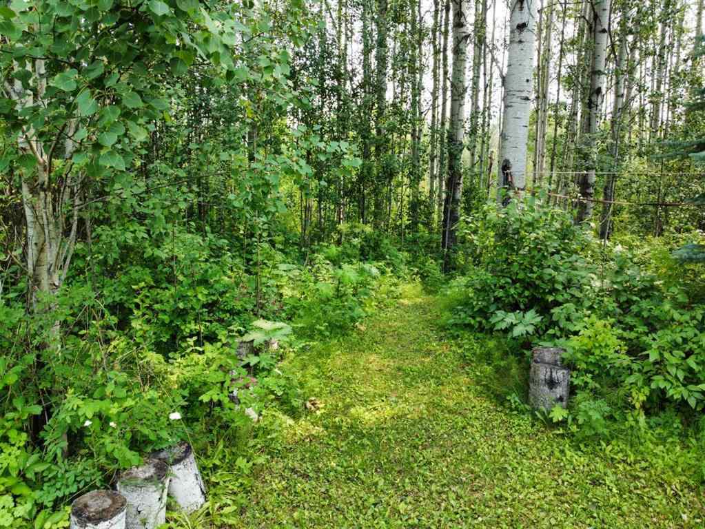 MLS® A2241735 - Unit #31 22003 Lot#31 43 Highway  in NONE Little Smoky, Residential