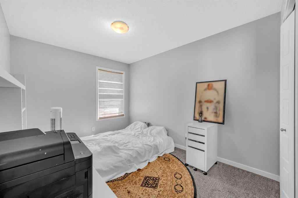 MLS® A2241905 - 263 Skyview Point Road NE in Skyview Ranch Calgary, Residential