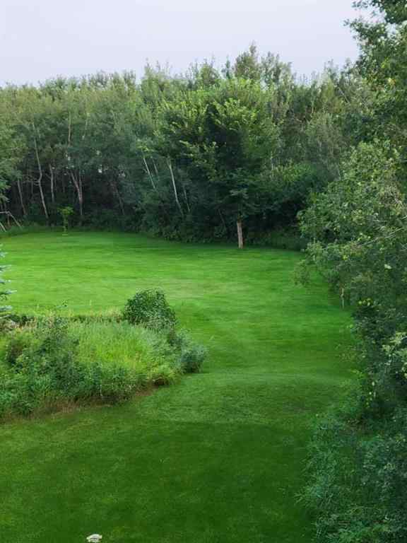 MLS® A2242137 - 6 Cedar Crescent   in NONE Rural Wainwright No. 61, M.D. of, Residential