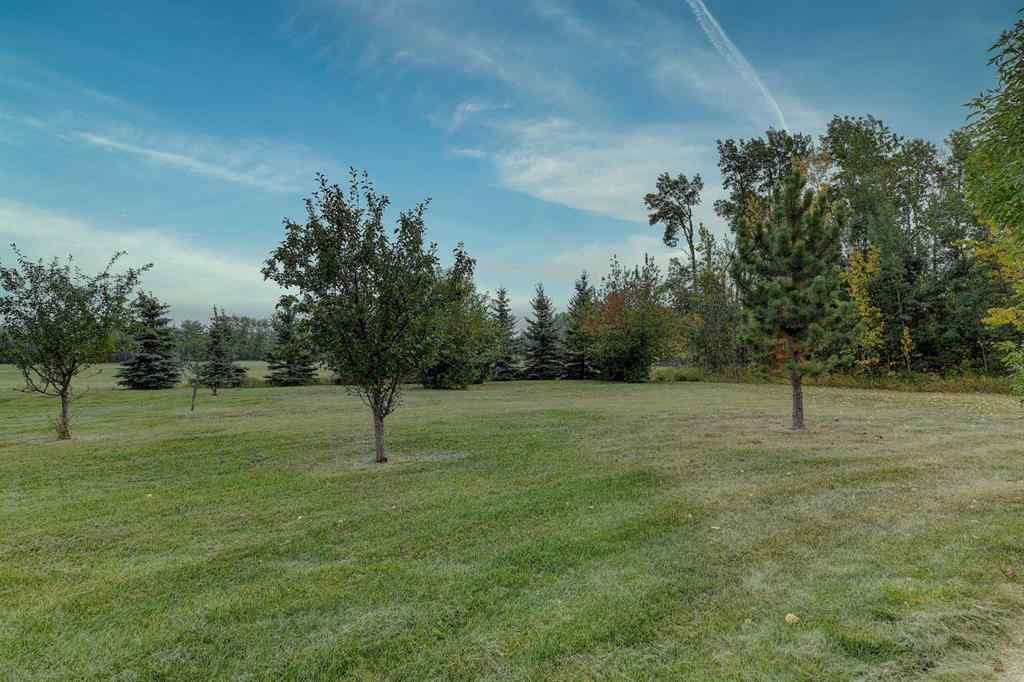 MLS® A2242182 - 90058 A & 90058 B Township Road 720   in NONE Rural Grande Prairie No. 1, County of, Agri-Business