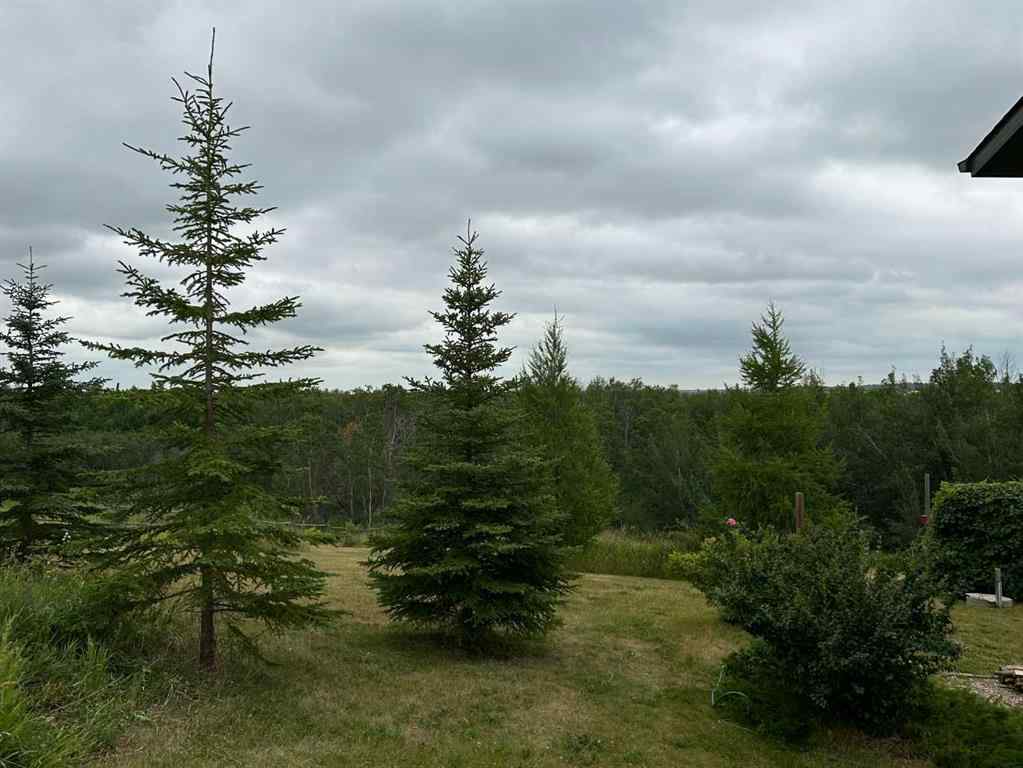 MLS® A2242185 - 49 Grandview Crescent  in Grandview Estate Rural Vermilion River, County of, Residential