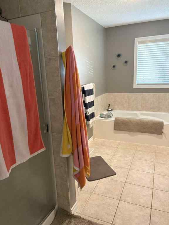 MLS® A2242219 - 249 West Lakeview Place  in Lakeview Landing Chestermere, Residential