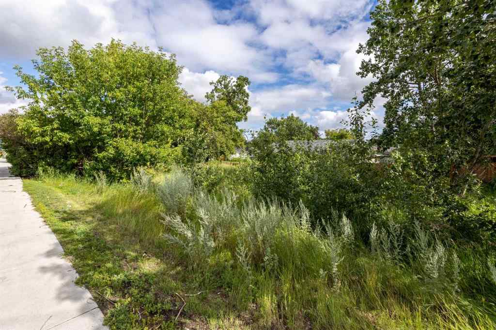 MLS® A2242229 - 5303 60 Street  in Riverside Meadows Red Deer, Land