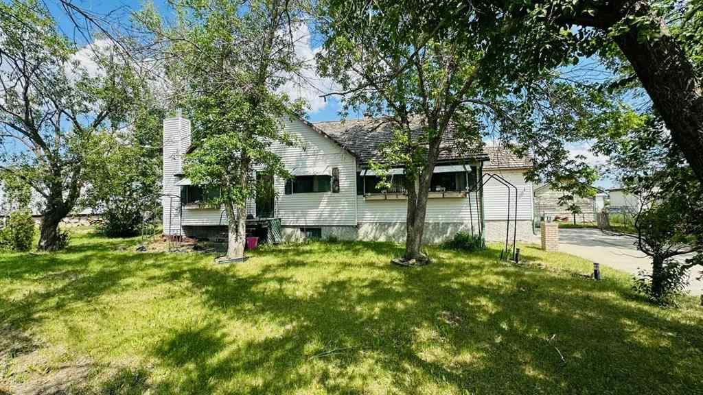 MLS® A2242356 - 103 2 Street West   in NONE Munson, Residential