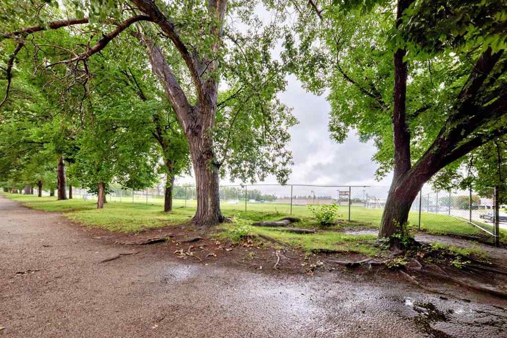 MLS® A2242374 - Unit #504 2011 University Drive NW in University Heights Calgary, Residential