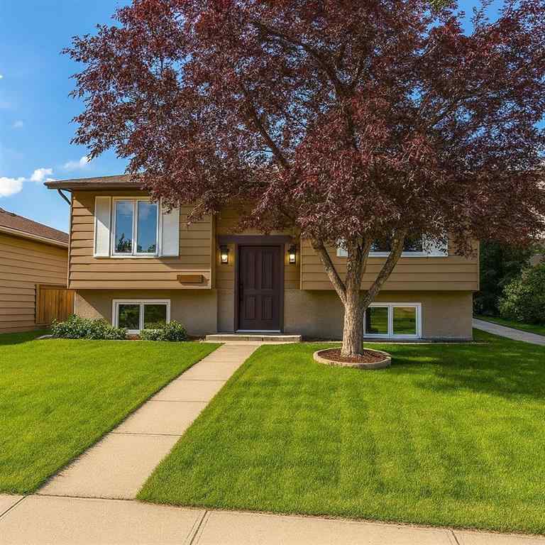 MLS® A2242590 - 203 Falwood Way NE in Falconridge Calgary, Residential