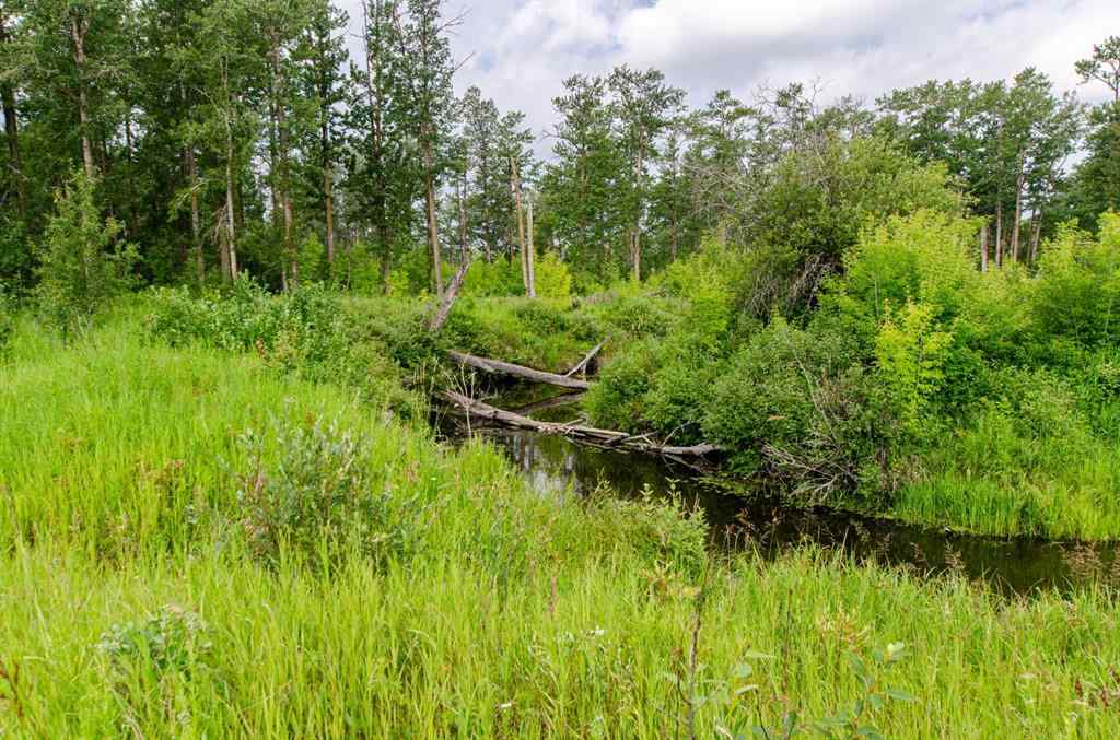 MLS® A2242647 - 40518 Highway 821   in NONE Tees, Land