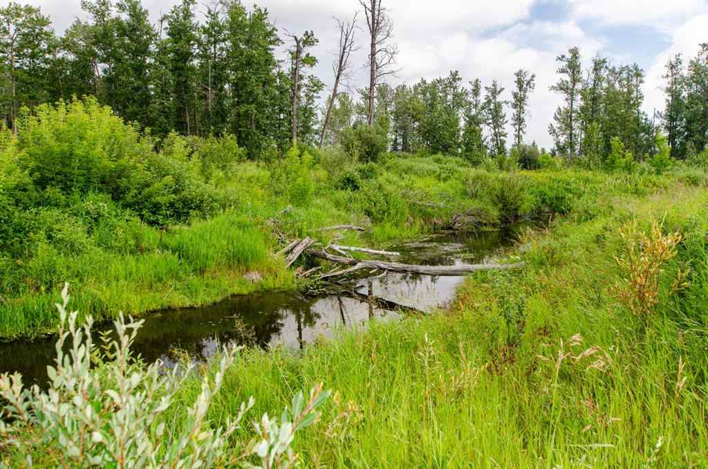 MLS® A2242647 - 40518 Highway 821   in NONE Tees, Land