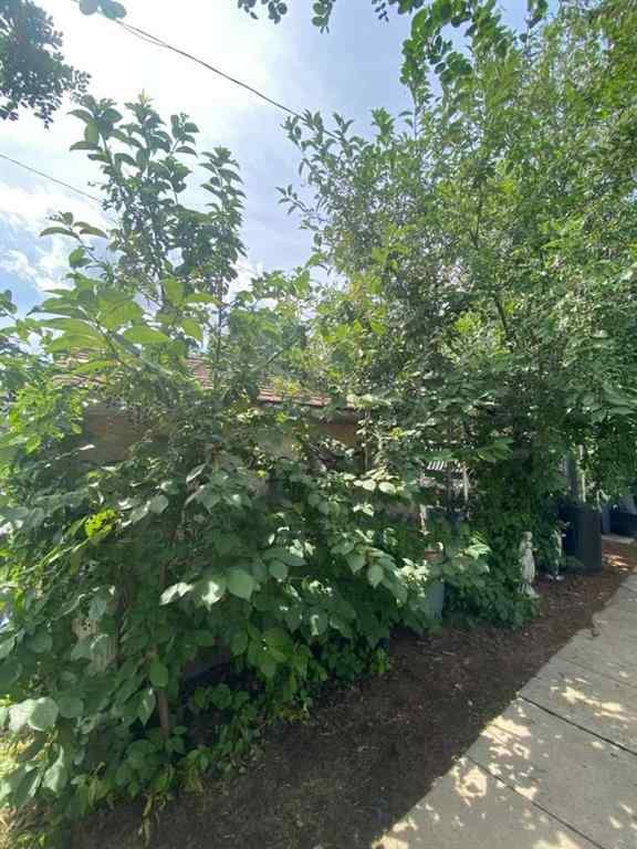 MLS® A2242662 - 639 Dahlia Street  in NONE Rosemary, Residential