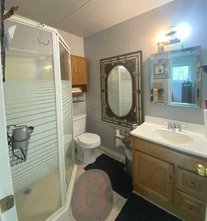 MLS® A2242662 - 639 Dahlia Street  in NONE Rosemary, Residential