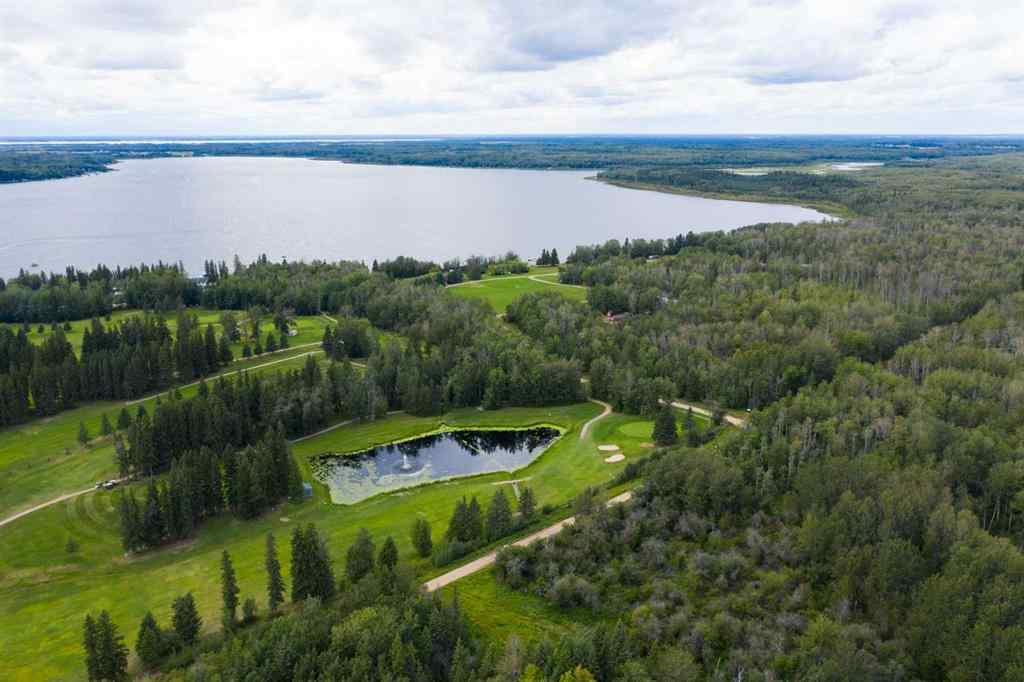 MLS® A2242699 - 203 LaBonte Drive  in Bondiss Rural Athabasca County, Residential