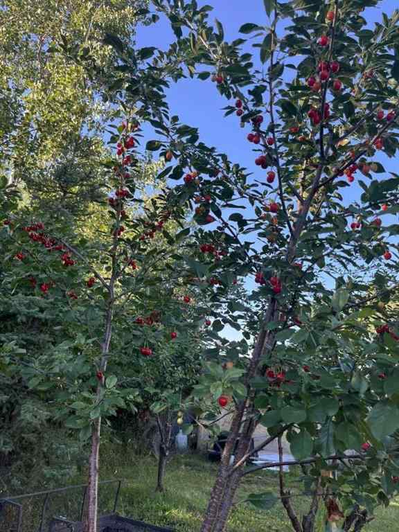 MLS® A2242752 - 723009 Range Road 30   in NONE Rural Grande Prairie No. 1, County of, Residential