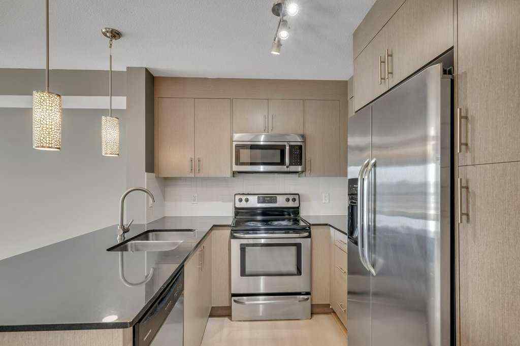 MLS® A2242771 - Unit #4405 240 SKYVIEW RANCH Road NE in Skyview Ranch Calgary, Residential