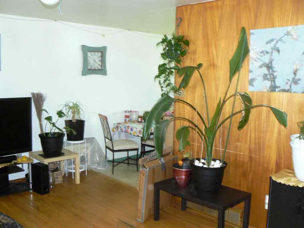 MLS® A2242994 - 4836 55 Avenue  in NONE High Prairie, Residential