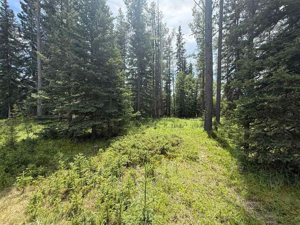 MLS® A2243033 - 24 Pears Road  in NONE Waiparous, Land