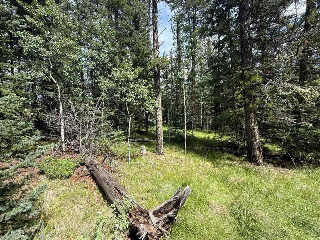 MLS® A2243033 - 24 Pears Road  in NONE Waiparous, Land