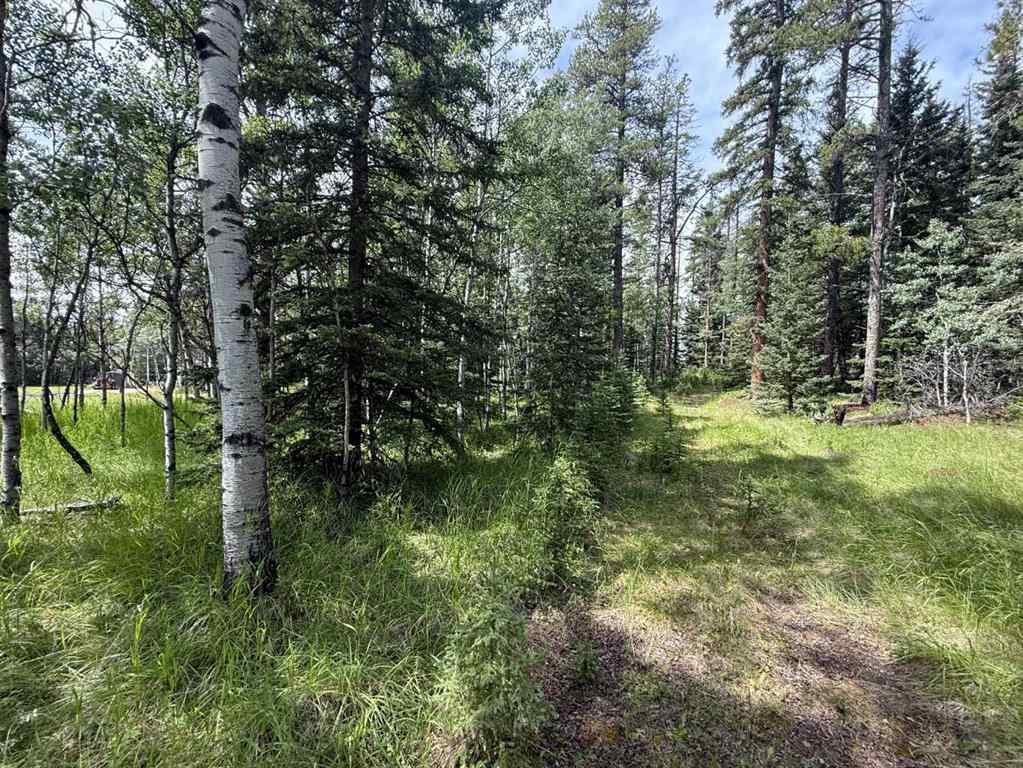MLS® A2243033 - 24 Pears Road  in NONE Waiparous, Land