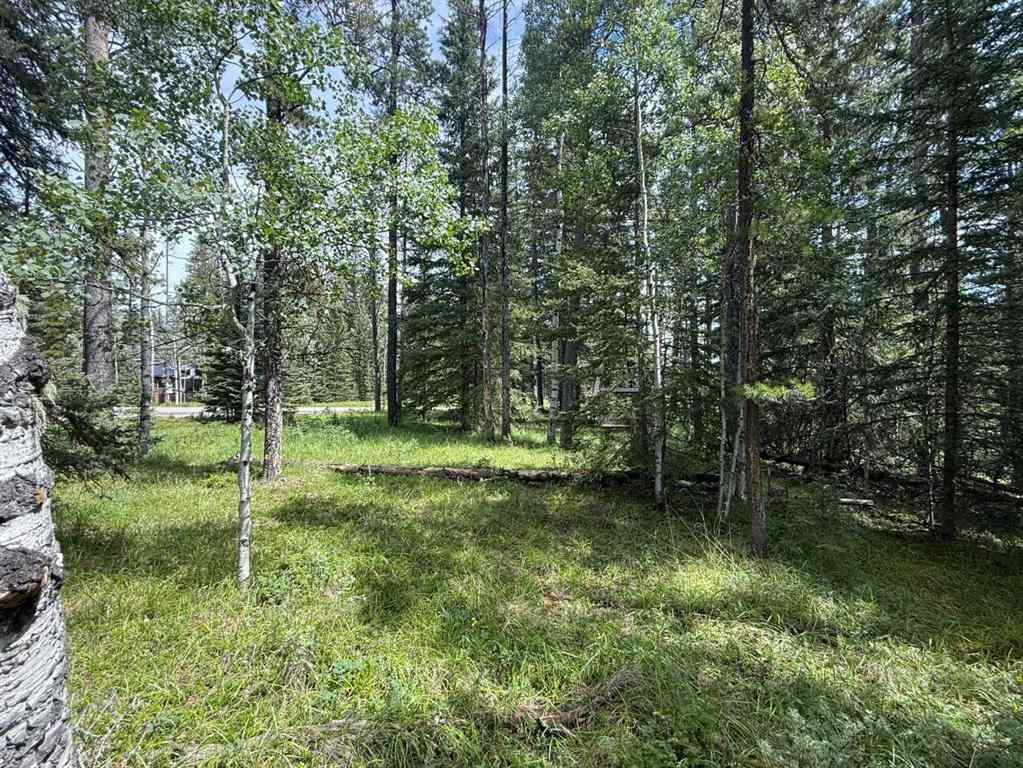 MLS® A2243033 - 24 Pears Road  in NONE Waiparous, Land