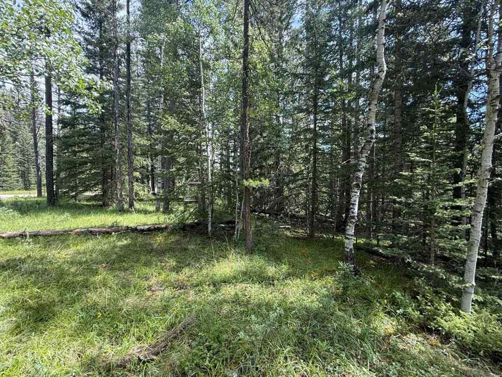 MLS® A2243033 - 24 Pears Road  in NONE Waiparous, Land
