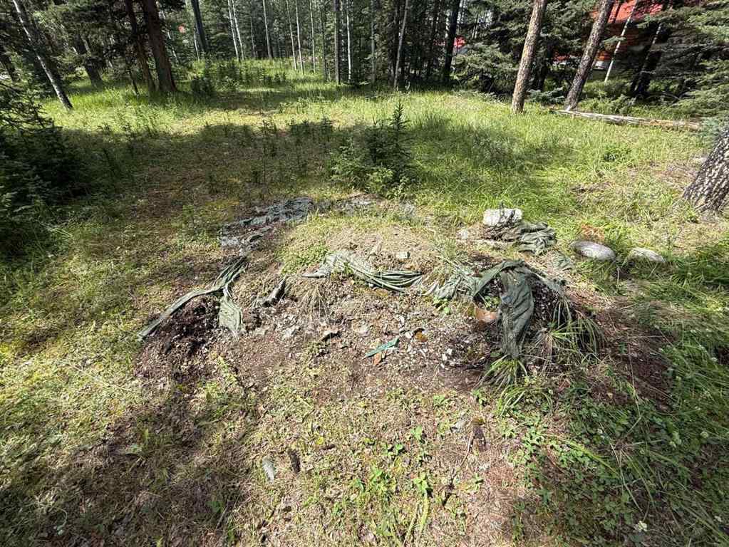 MLS® A2243033 - 24 Pears Road  in NONE Waiparous, Land