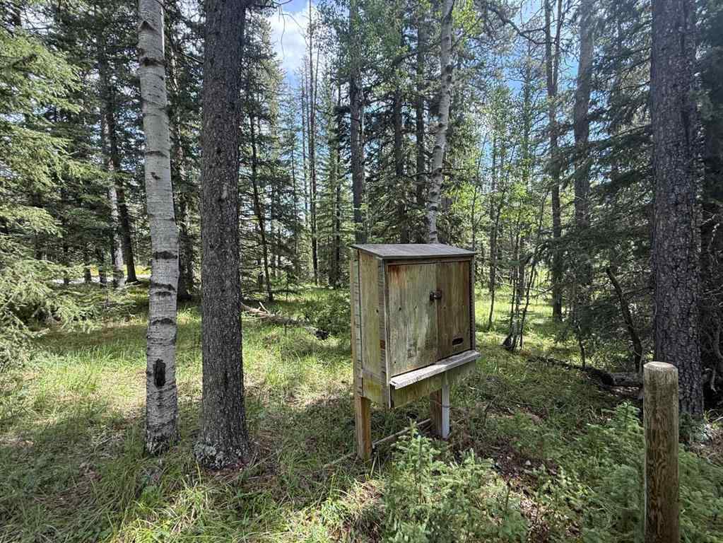 MLS® A2243033 - 24 Pears Road  in NONE Waiparous, Land