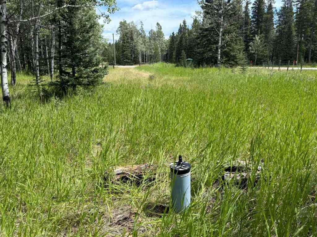 MLS® A2243033 - 24 Pears Road  in NONE Waiparous, Land