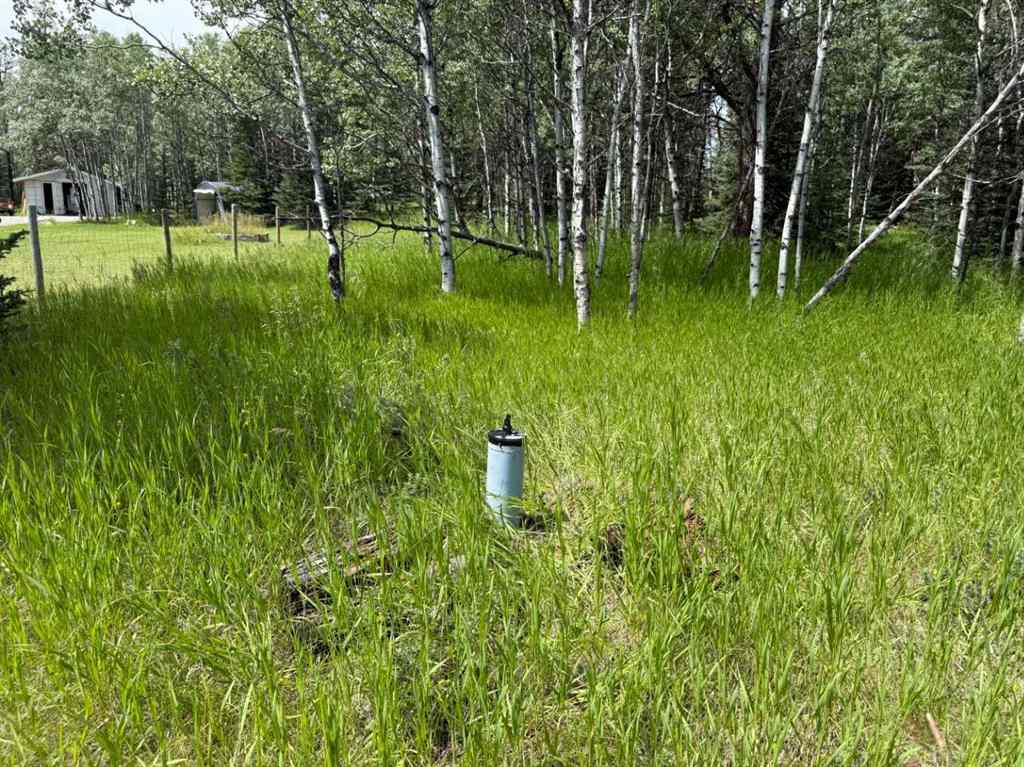 MLS® A2243033 - 24 Pears Road  in NONE Waiparous, Land
