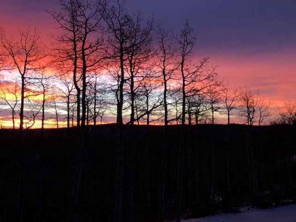 MLS® A2243042 - Unit #400 368191 184 Avenue W in NONE Rural Foothills County, Residential