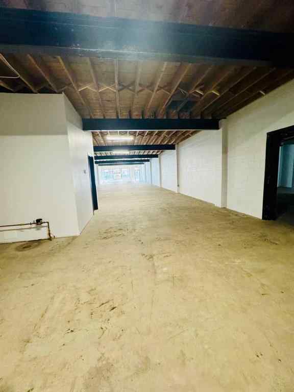 MLS® A2243045 - 256 13 Street N in Senator Buchanan Lethbridge, Commercial