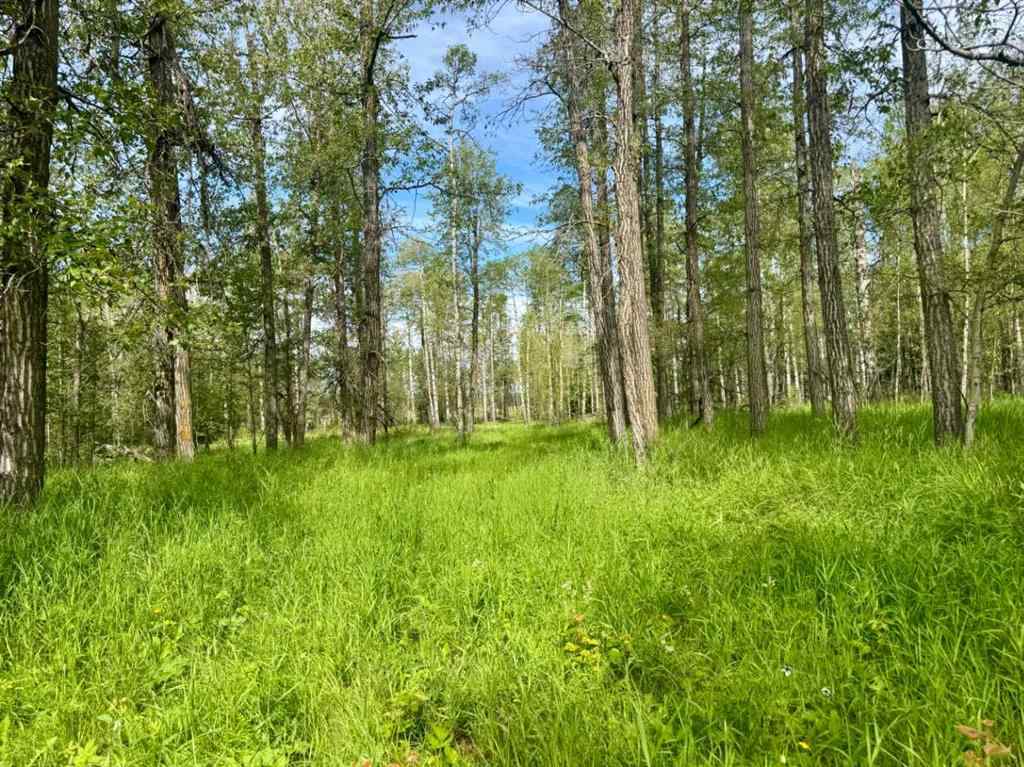 MLS® A2243105 - On Range Road 4-1   in NONE Rural Ponoka County, Land