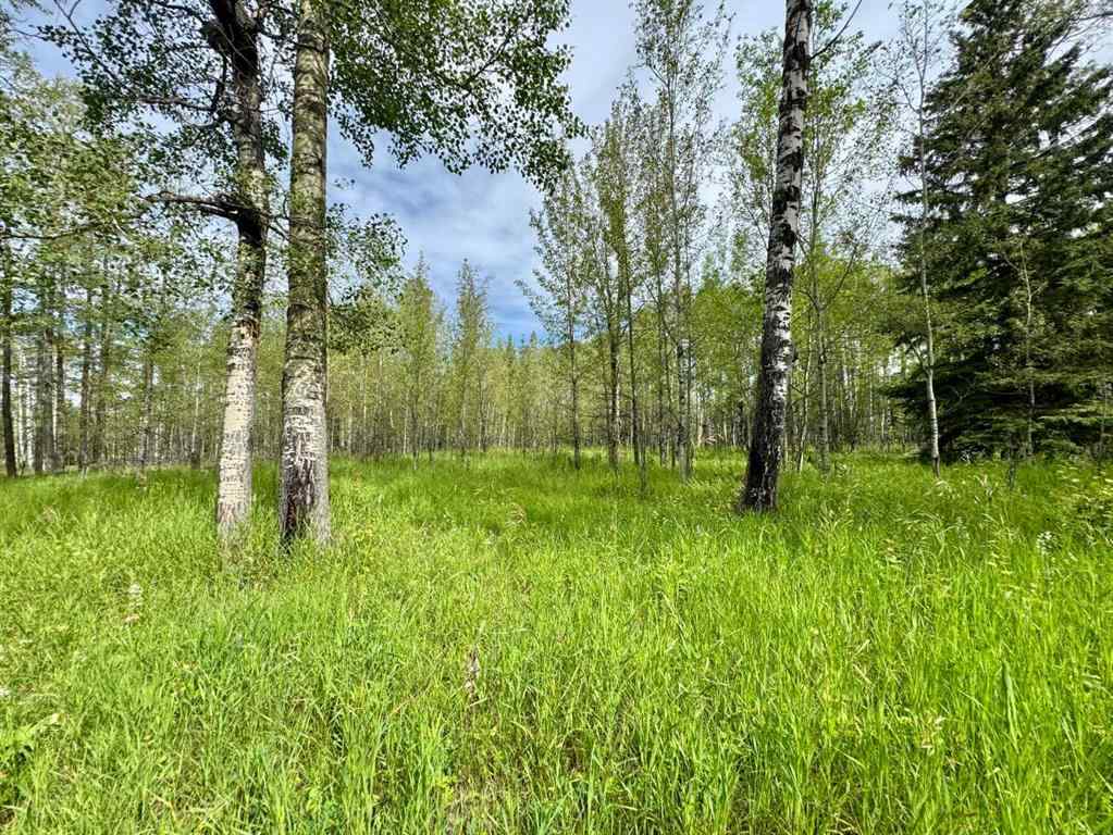 MLS® A2243105 - On Range Road 4-1   in NONE Rural Ponoka County, Land