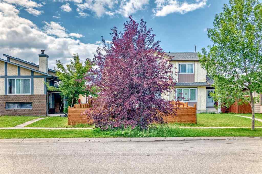 MLS® A2243128 - 4821 60 Street NE in Temple Calgary, Residential