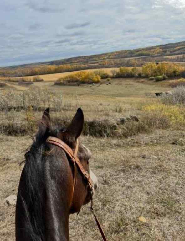 MLS® A2243201 - 14123 Township Road 404   in NONE Rural Flagstaff County, Residential