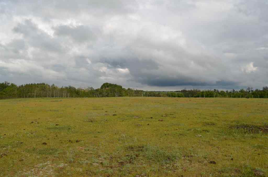 MLS® A2243201 - 14123 Township Road 404   in NONE Rural Flagstaff County, Residential