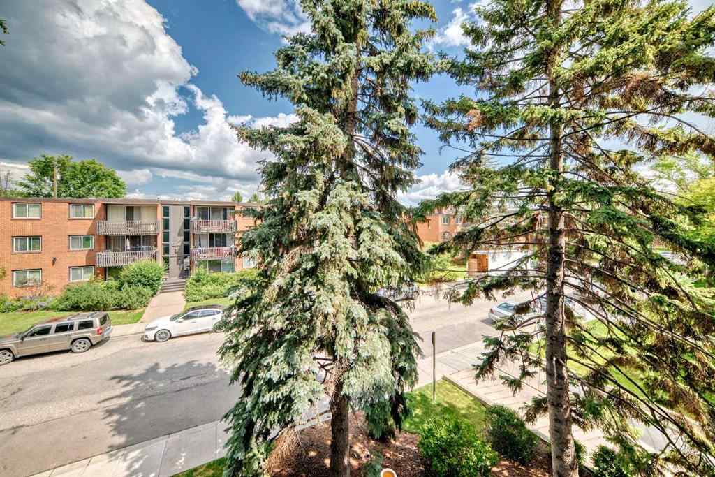 MLS® A2243273 - Unit #301 521 57 Avenue SW in Windsor Park Calgary, Residential