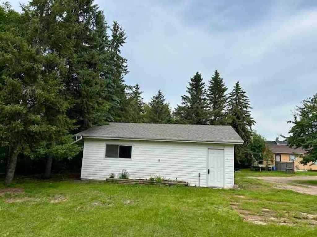 MLS® A2243393 - 4818 51 street   in Bashaw Bashaw, Residential