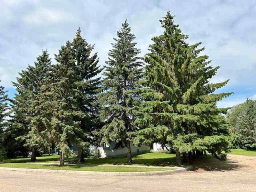 MLS® A2243393 - 4818 51 street   in Bashaw Bashaw, Residential