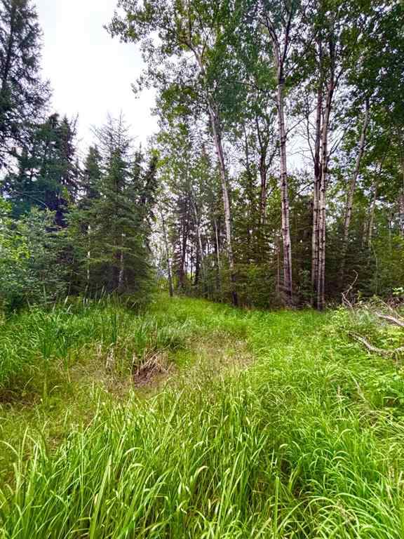 MLS® A2243436 - 674 Twp Rd Range Rd 152   in NONE Rural Lac La Biche County, Land