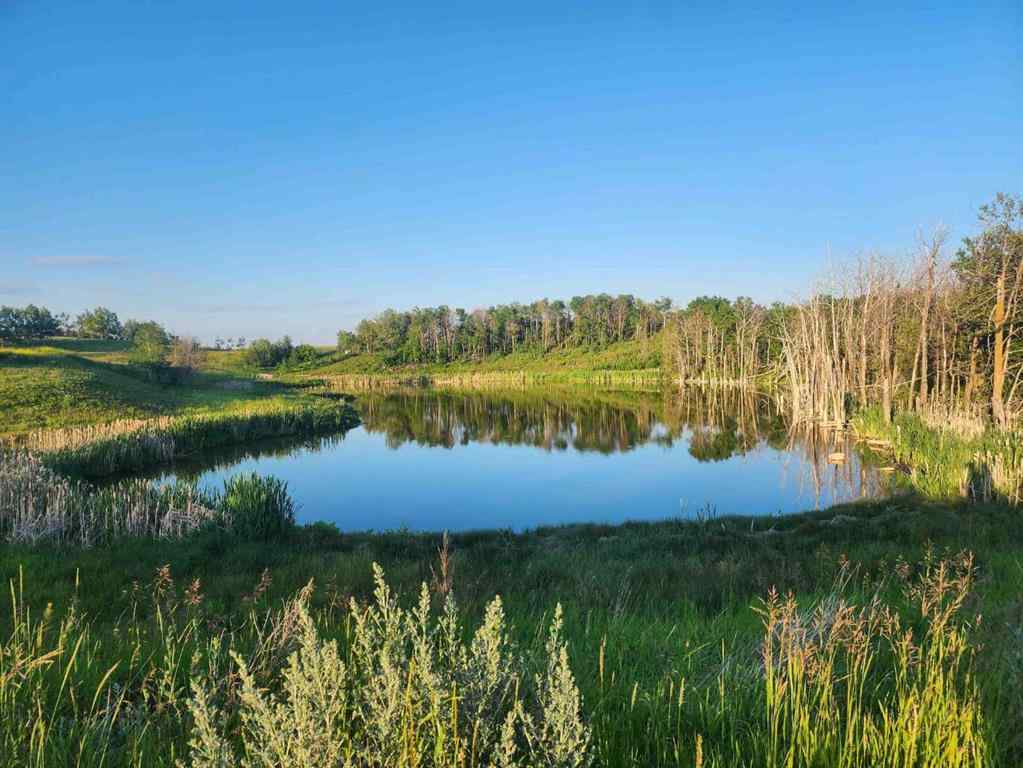 MLS® A2243447 -  Hi Way 590   in NONE Rural Red Deer County, Land