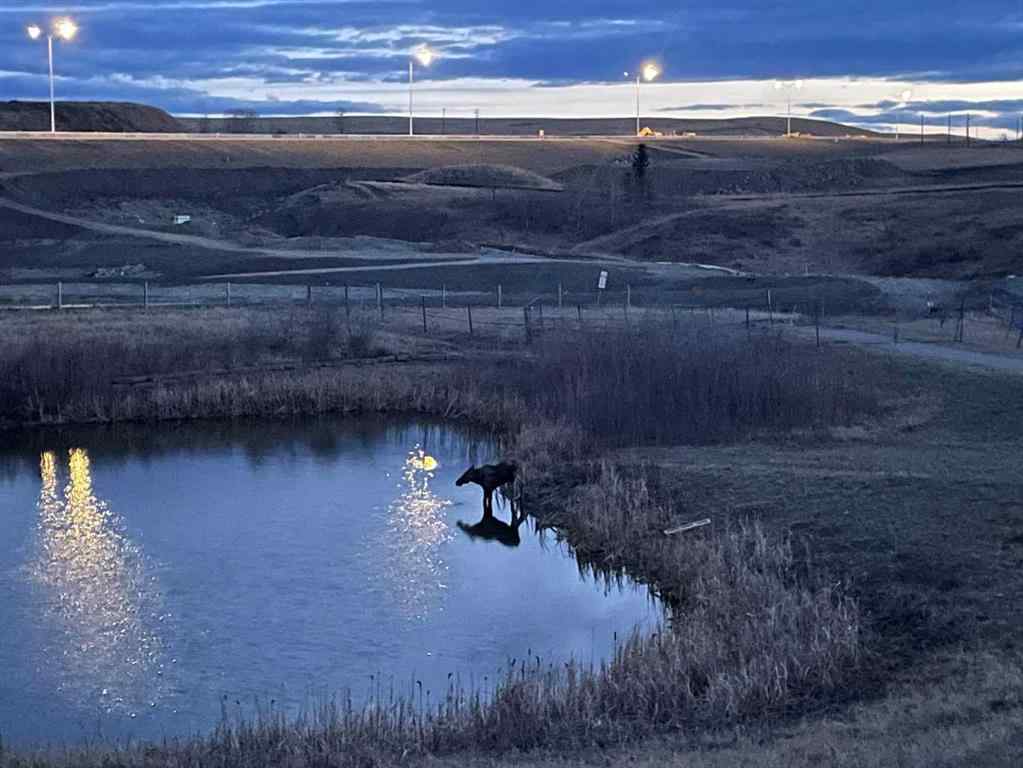 MLS® A2243457 - 170 Valley Pointe Way NW in Valley Ridge Calgary, Residential
