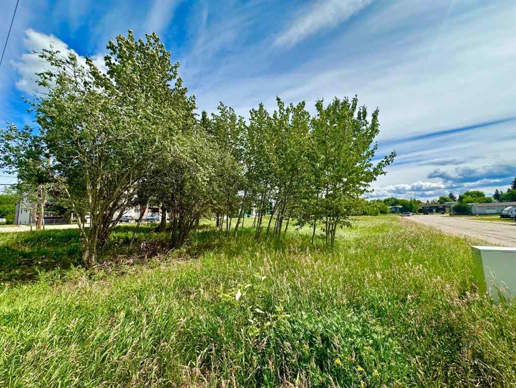 MLS® A2243545 - 9825 99 Avenue  in Lac La Biche Lac La Biche, Land