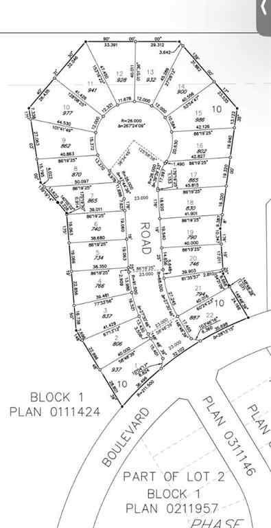 MLS® A2243701 - 141 Speargrass Close  in NONE Carseland, Land