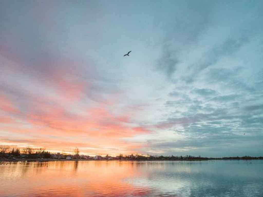 MLS® A2243729 - 240226 Range Road 280   in NONE Rural Rocky View County, Land