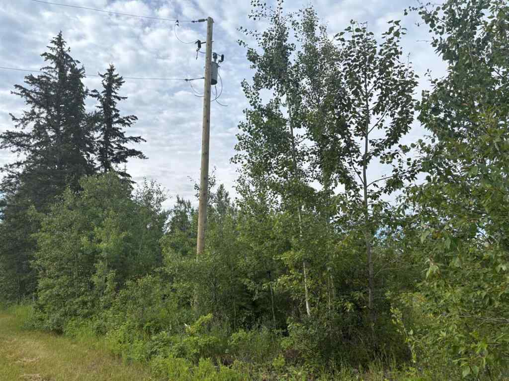 MLS® A2243808 - 680071 Highway 2   in NONE Rural Athabasca County, Land