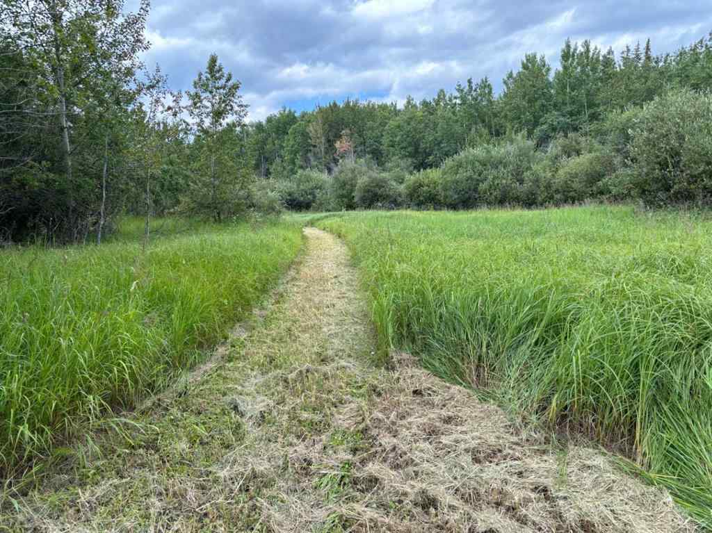 MLS® A2243808 - 680071 Highway 2   in NONE Rural Athabasca County, Land