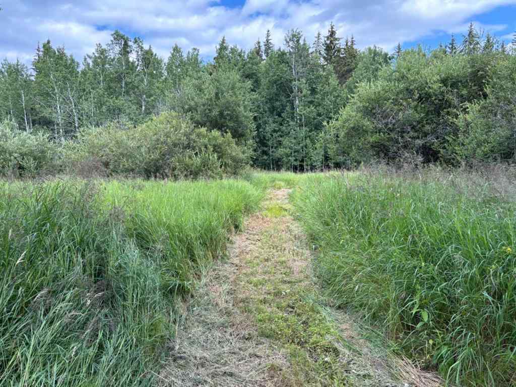 MLS® A2243808 - 680071 Highway 2   in NONE Rural Athabasca County, Land