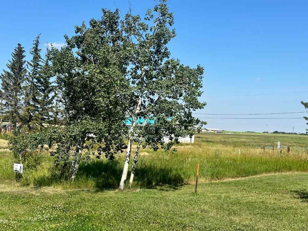 MLS® A2243909 - 211 Main Street  in NONE Waseca, Land