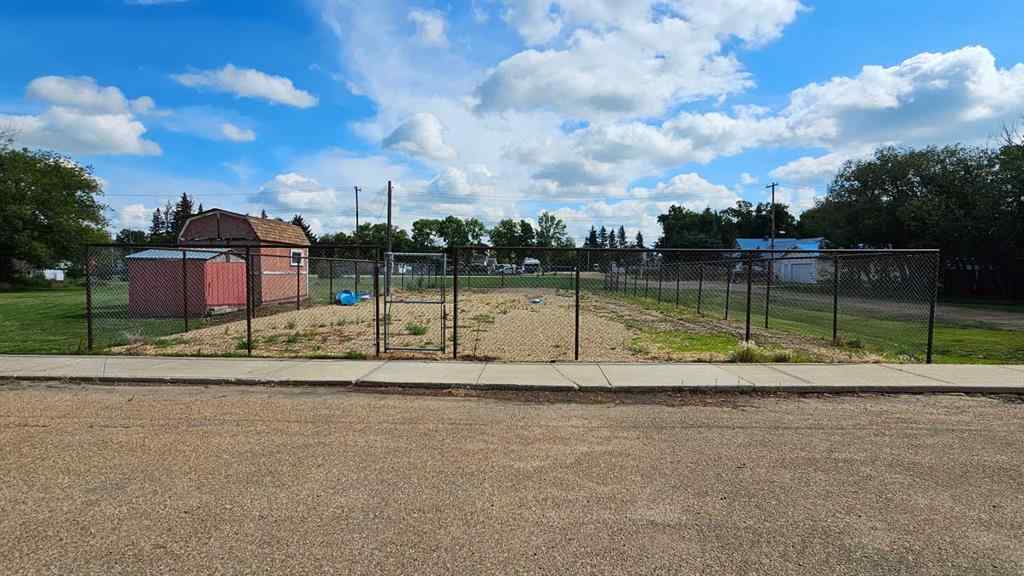 MLS® A2243936 - 113 1 Street E in Alliance Alliance, Land